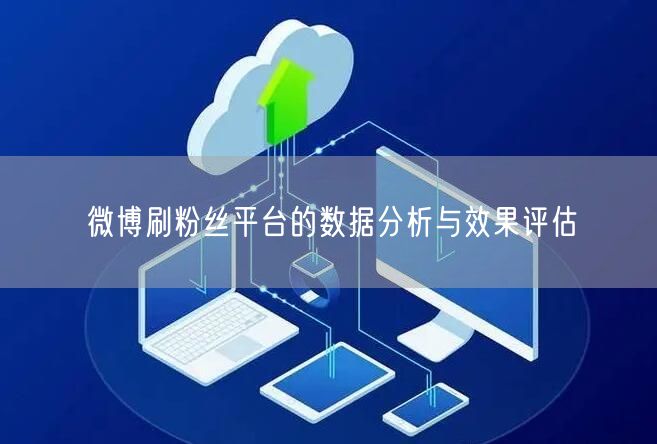 微博刷粉丝平台的数据分析与效果评估