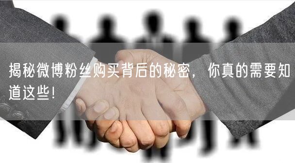 揭秘微博粉丝购买背后的秘密,你真的需要知道这些!