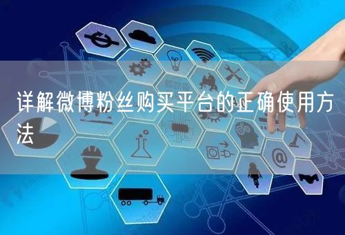详解微博粉丝购买平台的正确使用方法