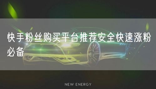 快手粉丝购买平台推荐安全快速涨粉必备