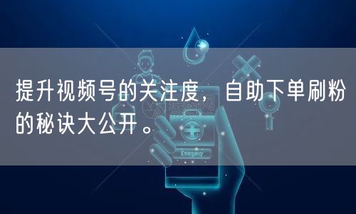 提升视频号的关注度,自助下单刷粉的秘诀大公开。