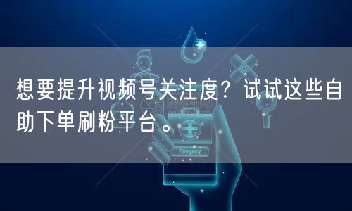 想要提升视频号关注度?试试这些自助下单刷粉平台。
