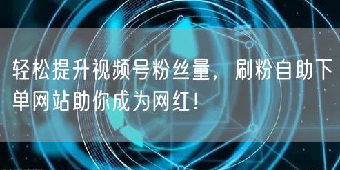 轻松提升视频号粉丝量，刷粉自助下单网站助你成为网红！