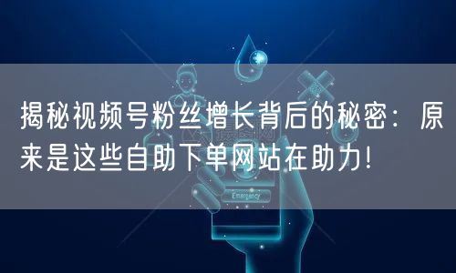 揭秘视频号粉丝增长背后的秘密：原来是这些自助下单网站在助力！