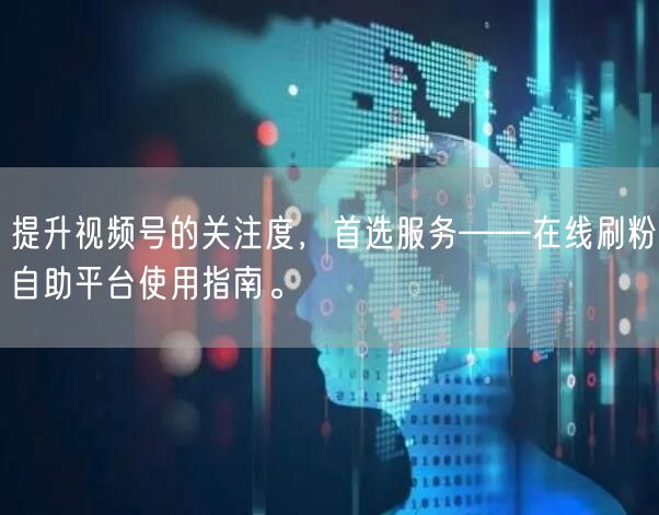 提升视频号的关注度,首选服务——在线刷粉自助平台使用指南。