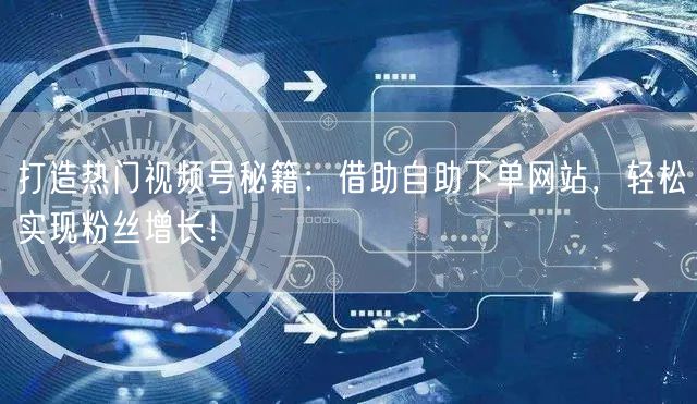 打造热门视频号秘籍:借助自助下单网站,轻松实现粉丝增长!