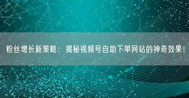 粉丝增长新策略：揭秘视频号自助下单网站的神奇效果！