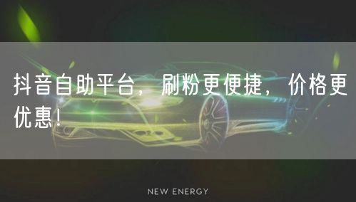 抖音自助平台，刷粉更便捷，价格更优惠！