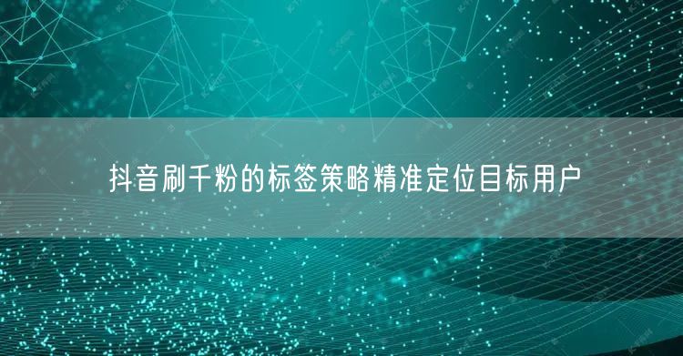 抖音刷千粉的标签策略精准定位目标用户