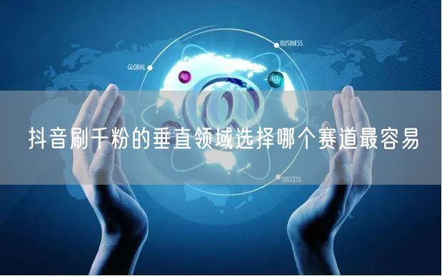 抖音刷千粉的垂直领域选择哪个赛道最容易