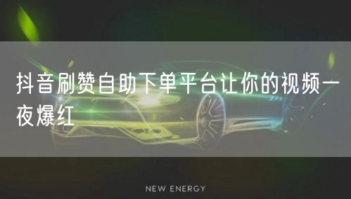 抖音刷赞自助下单平台让你的视频一夜爆红