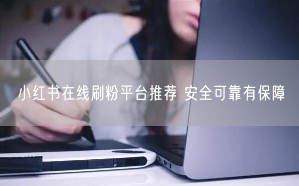 小红书在线刷粉平台推荐 安全可靠有保障