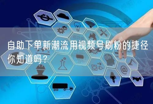 自助下单新潮流用视频号刷粉的捷径你知道吗?