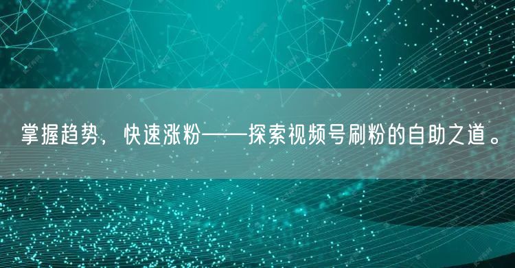 掌握趋势,快速涨粉——探索视频号刷粉的自助之道。